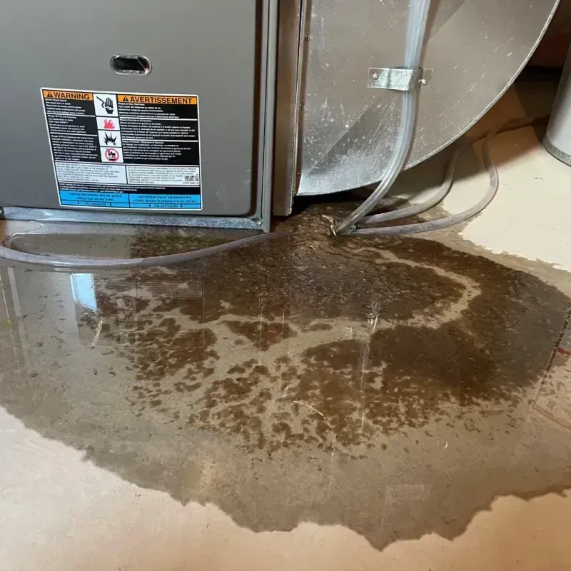 Appliance Leak Cleanup in Whitley County, IN